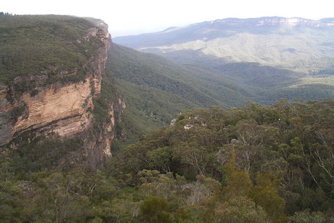 Full-Day Private Blue Mountains Tour With River Cruise - Events Australia 3