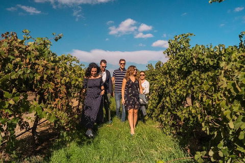 Barossa Valley Private Tour (from 2 To 11 People) - Events Australia 0