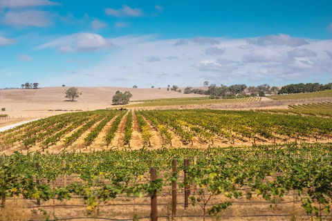 Barossa Valley Private Tour (from 2 To 11 People) - Events Australia 2
