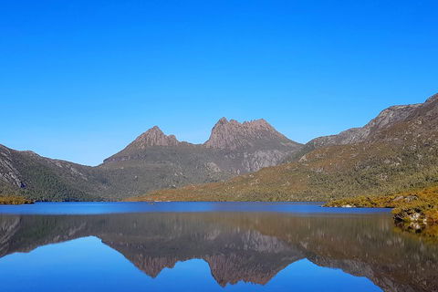 Tasmania 6 Day 'Tour In Circle' - Tourism Bookings 3