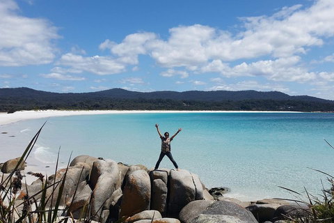 Tasmania 4 Day East Coast + Launceston - Events Australia 1