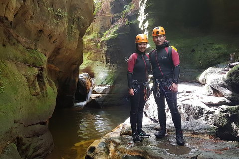 Blue Mountains Empress Canyon Adventure From Wentworth Falls - Tourism Bookings 0