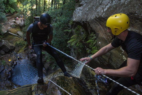 Blue Mountains Empress Canyon Adventure From Wentworth Falls - Tourism Bookings 2
