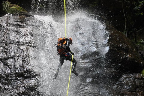 Blue Mountains Empress Canyon Adventure From Wentworth Falls - Tourism Bookings 3