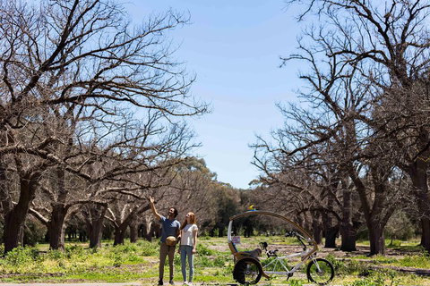 Adelaide 90-Minute Pedicab Tour: Scenic Green & River Experience - Tourism Bookings 1