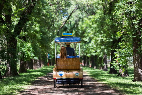 Adelaide 90-Minute Pedicab Tour: Scenic Green & River Experience - Tourism Bookings 2