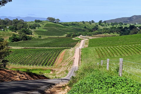 The Complete Hunter Valley Wine Tour Of Pokolbin, Mt View, Lovedale And Rothbury - Tourism Bookings 0
