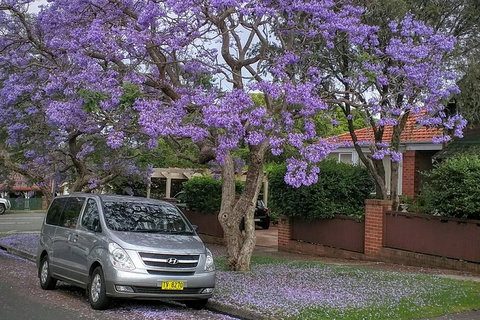Sydney Secrets & Bondi Beach Private 4 Hr Morning With Personalised Sydney Tours - Events Australia 0