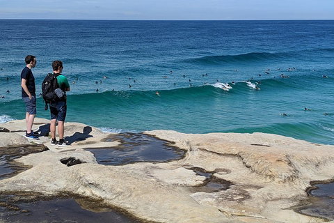 Sydney Secrets & Bondi Beach Private 4 Hr Morning With Personalised Sydney Tours - Events Australia 2
