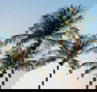 Darwin City Sightseeing Tour - Events Australia