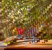 Darwin City Sights and Jumping Crocodile Cruise - Events Australia