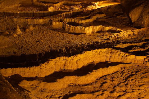 The Explorers' Discovery Tour - Gold, Wine & Wildlife - Tourism Bookings 0