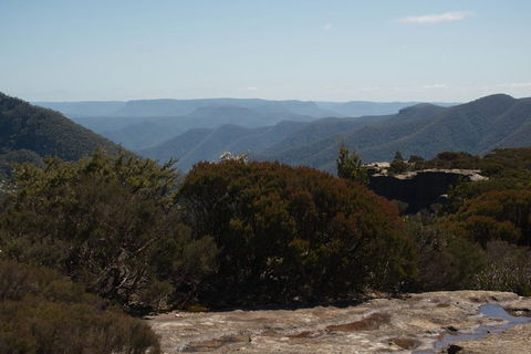 The Explorers' Discovery Tour - Gold, Wine & Wildlife - Tourism Bookings 3