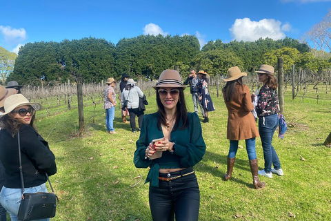 Mt Tamborine Full Day Wine Tour - Events Australia 1