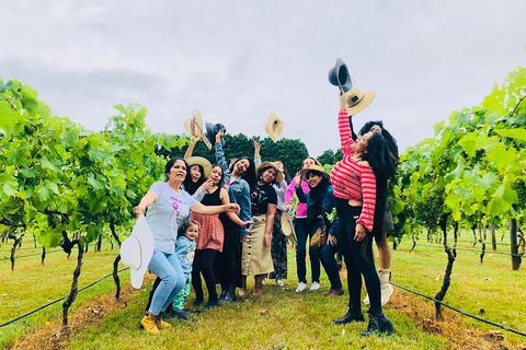 Mt Tamborine Full Day Wine Tour - Events Australia 4
