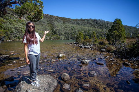 Mt Field National Park Active Day-Trip Including Bonorong And Mt Wellington - Events Australia 4