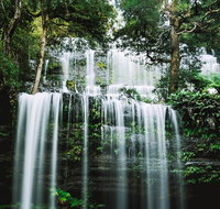 Mt Field National Park and Russell Falls from Hobart - Events Australia