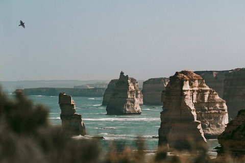 Half-Day Or Full-Day Tour With Private Guide From Melbourne - Events Australia 0