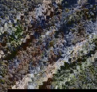 Leven Canyon Day Trip Including Wings Wildlife Park or Gunns Plains Caves - Events Australia