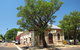 Delightful Darwin Self-Guided Audio Tour - thumb 0