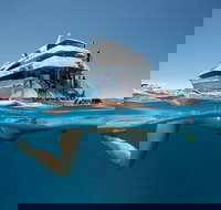 3 Day Great Barrier Reef Daintree Rainforest and Outback Chillagoe Tour - Events Australia