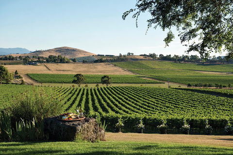 Yarra Valley Premium Tour Inc Lunch And Cheese, Chocolate Fondue At Rochford - Tourism Bookings 1