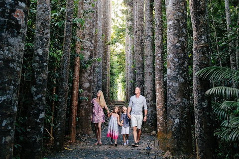 The Original Day Tour To Paronella Park, Lake Barrine And Millaa Millaa Falls - Tourism Bookings 1