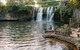 The Original Day Tour To Paronella Park, Lake Barrine And Millaa Millaa Falls - thumb 4