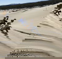 Port Stephens Bush Beach and Sand Dune 4WD Tag-Along Tour - Events Australia