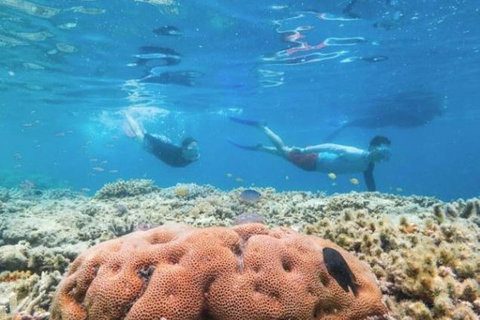 Great Barrier Reef Day Cruise To Reefworld - Tourism Bookings 1