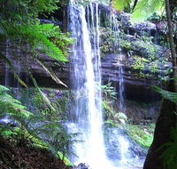 Mt Field National Park and Russell Falls from Hobart - Events Australia