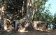 Darwin Walking Tour: World War II Reflections - thumb 3