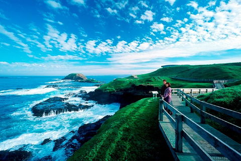 Melbourne Combo: Great Ocean Road + Phillip Island Express + Attraction Pass - Events Australia 1