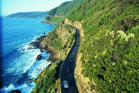 Melbourne Combo: Great Ocean Road + Phillip Island Express + Attraction Pass - Events Australia 4