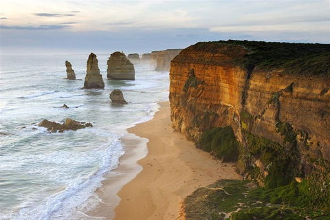 Melbourne Combo: Great Ocean Road + Phillip Island Express + Attraction Pass - Events Australia 5