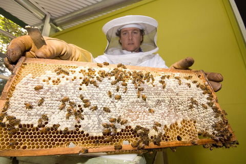 The Ginger Factory Play, Taste & Discover Bundle Admission Ticket - Events Australia 2