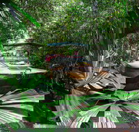 Kuranda Rainforestation  Kuranda Scenic Rail - Events Australia