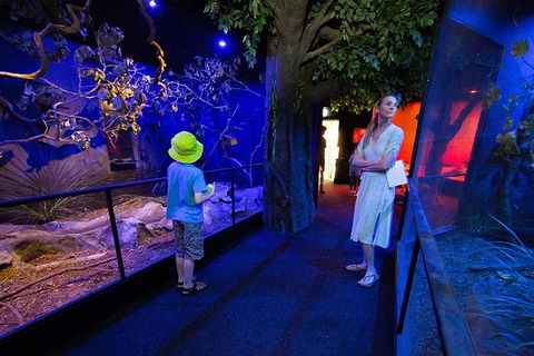 Wildlife Habitat Port Douglas - Accommodation Europe 4