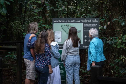 Sunshine Coast Hinterland And Noosa Day Trip From Brisbane Including Eumundi Markets And Ginger Factory - Events Australia 0