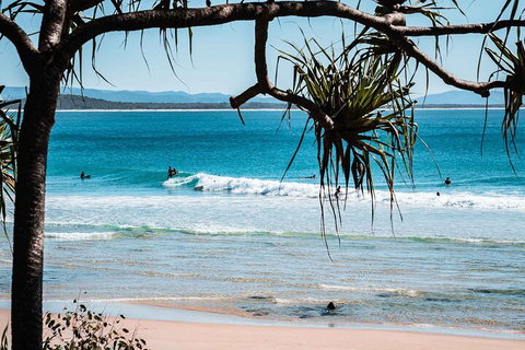 Sunshine Coast Hinterland And Noosa Day Trip From Brisbane Including Eumundi Markets And Ginger Factory - Events Australia 5