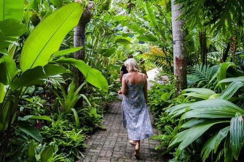 Cairns City Sights And Surrounds Tour - Events Australia 2