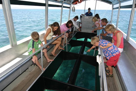 Cairns City Sights And Surrounds Tour - Events Australia 5