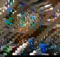 Cairns Shore Excursion Cairns City Sights  Surrounds Tour - Events Australia