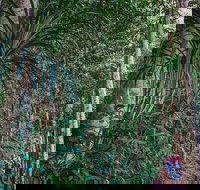 Atherton Tablelands Rain Forest by Night from Cairns - Events Australia