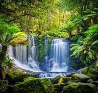 Day Tour in Mt. Field Mt. Wellington Bonorong Wildlife Sanctuary and Richmond - Events Australia