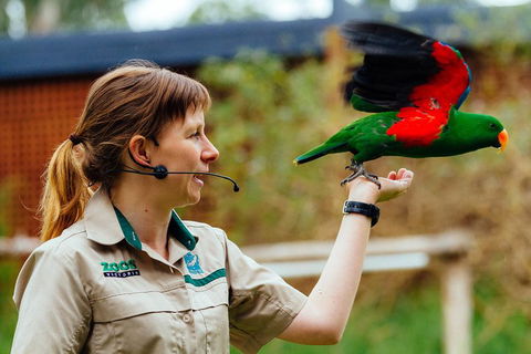 VIP Sanctuary Tour At Healesville Sanctuary Ticket - Events Australia 0