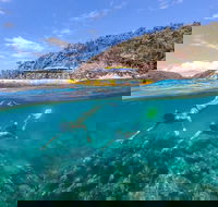 Great Barrier Reef Scenic Flight and Ocean Rafting Whitehaven Beach Day Trip - Events Australia