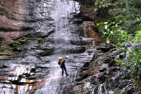 Full-Day Canyoning Experience At Stunning Empress Canyon - Events Australia 0