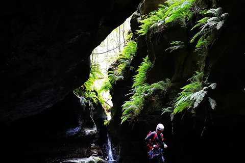 Full-Day Canyoning Experience At Stunning Empress Canyon - Events Australia 2