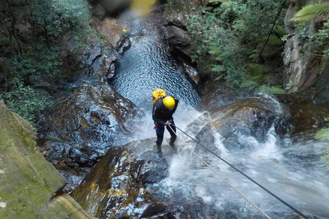Full-Day Canyoning Experience At Stunning Empress Canyon - Events Australia 4